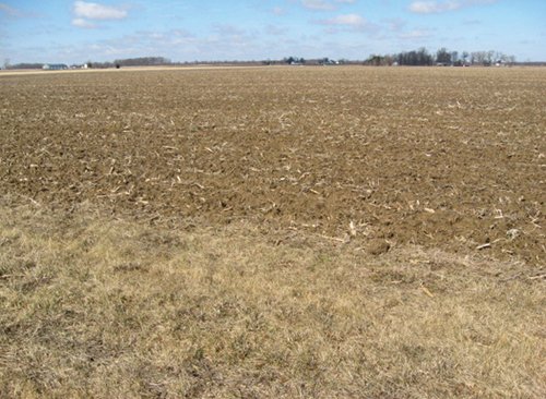 Property photo 35 - 127 Acres Offered in 4 Tracts
